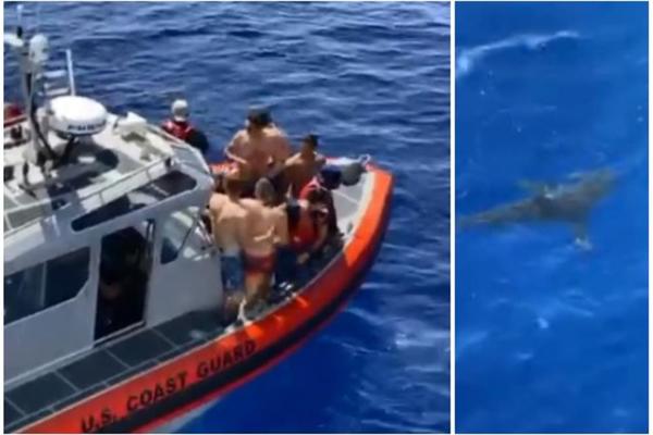 IZ VODE JE IZRONILA OGROMNA AJKULA PREKO DVA METRA! Ovaj snimak gledajte na svoju odgovornnost (VIDEO)