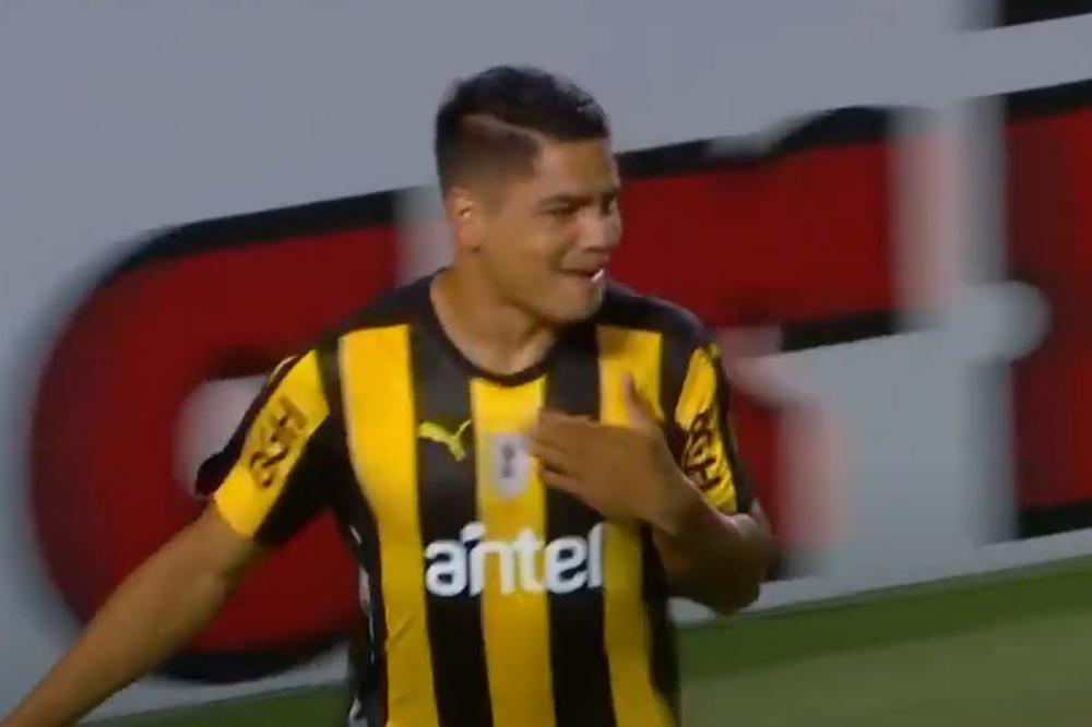 EL TORO STIŽE NA MARAKANU: Bik koji raznosi defanzivce će zameniti Tomanea!