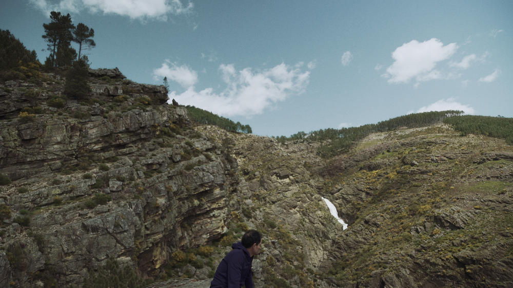 Napolju cvetaju narandže