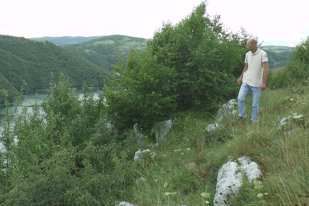 TUŽNA SUDBINA SURIH ORLOVA: Veličanstvene simbole Srbije UBIJAJU, PREPRODAJU, TRUJU... ZAŠTO se ovo radi? (FOTO)