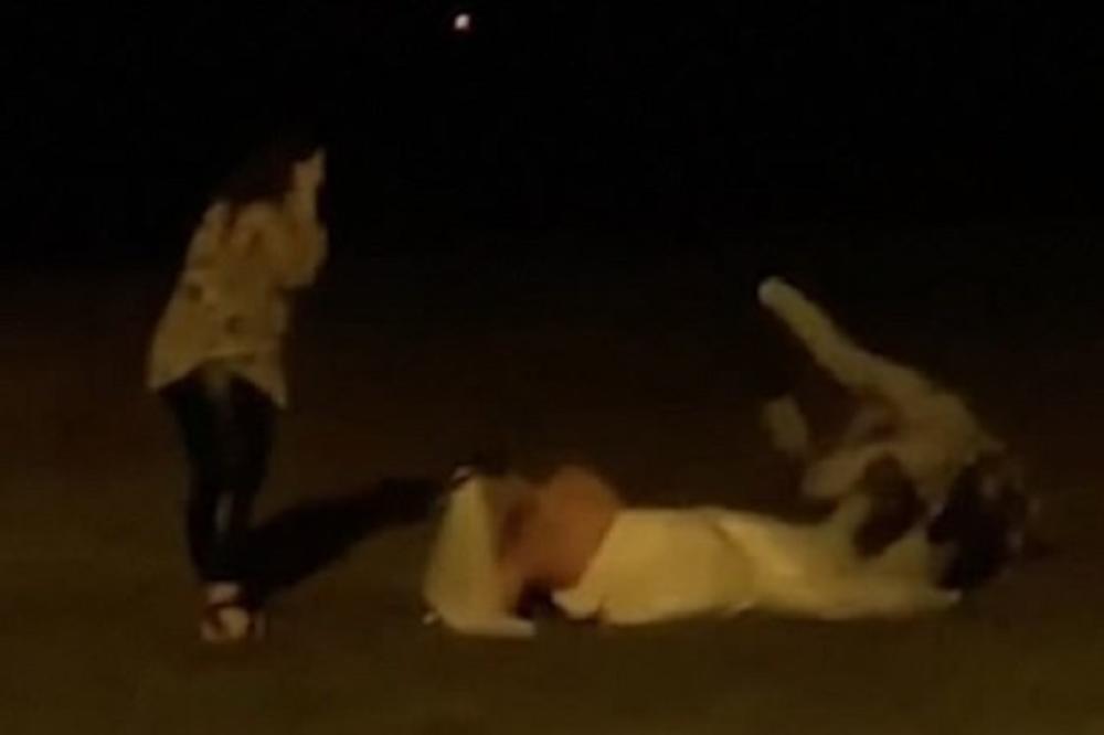 GOSPODA, NEMA ŠTA! Mlada se POTUKLA sa gostom, na kraju svi ležali mrtvi PIJANI u travi (VIDEO)