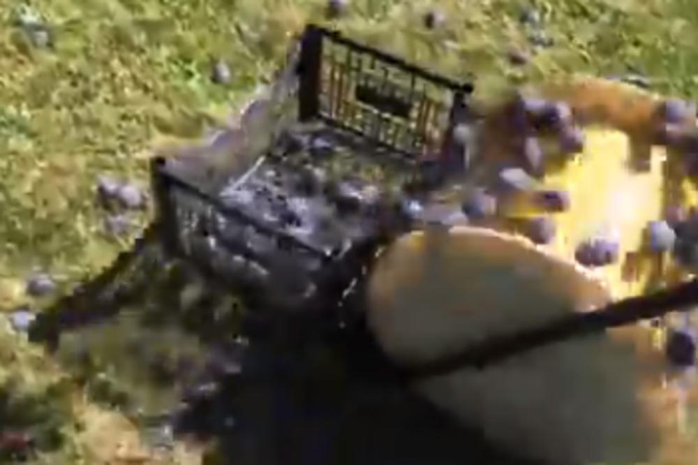 OVA ČUDNA SPRAVA JE ZALUDELA VOĆARE U SRBIJI! Nebojša ručno napravio MAŠINU koja je spas za mnoge! (VIDEO)