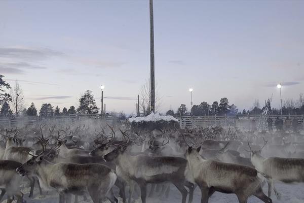 SELEKCIJA ECO DOX na Festivalu evropskog filma Palić