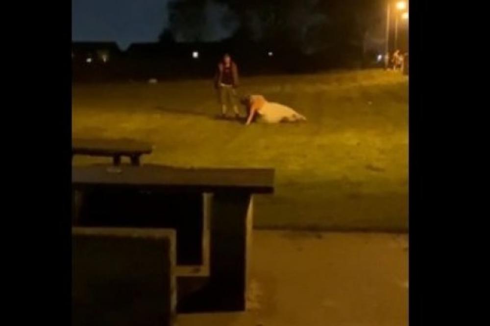 MLADA PODIVLJALA, TUKLA SE SA SVATOVIMA, GOSTI ONESVEŠĆENI LEŽE NA LIVADI: Ludačke scene sa SVADBE!