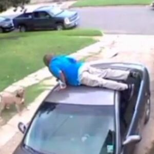 NAKON ŠTO SE KRVOLOČNI PAS ZALETEO NA ĆERKU, OTAC JE URADIO OVO, A DA NIJE NI TREPNUO: Svi su ga ZAMRZELI! (VIDEO)