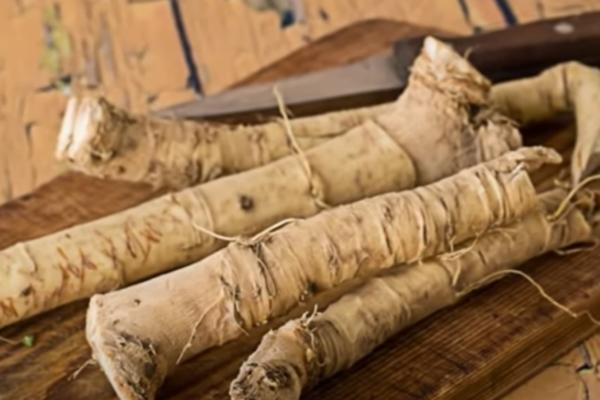 EVO PRILIKE ZA DOBRU ZARADU: Otporan na sušu i mraz, da li će ova biljka zameniti srpsko zlato?