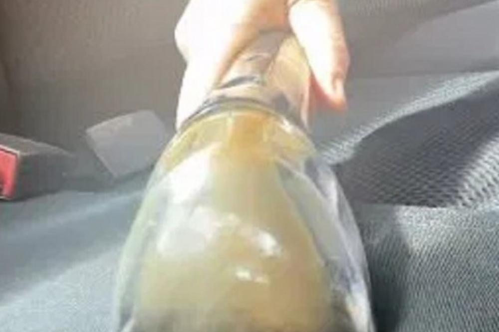 ČISTILA JE SEDIŠTE U AUTU: Kad je videla tečnost u usisivaču, ZGROZILA SE ZBOG JEDNE STVARI! (FOTO)