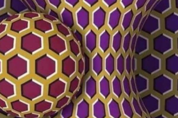 DOBRO POGLEDATE OVU FOTOGRAFIJU: Iza sebe krije jednu veliku neistinu