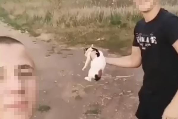 MALOLETNICI IZ LESKOVCA BRUTALNO ZLOSTAVLJALI MAČKU: Mučena životinja se koprcala, UMIRALA U MUKAMA (VIDEO)