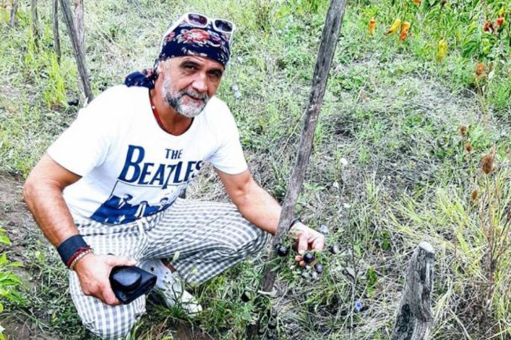 RADOSLAVU IZ TOPOLE U BAŠTI RODIO CRNI PARADAJZ: Spolja mrk kao ugalj, a UNUTRA JE NEŠTO NEVEROVATNO! (FOTO)