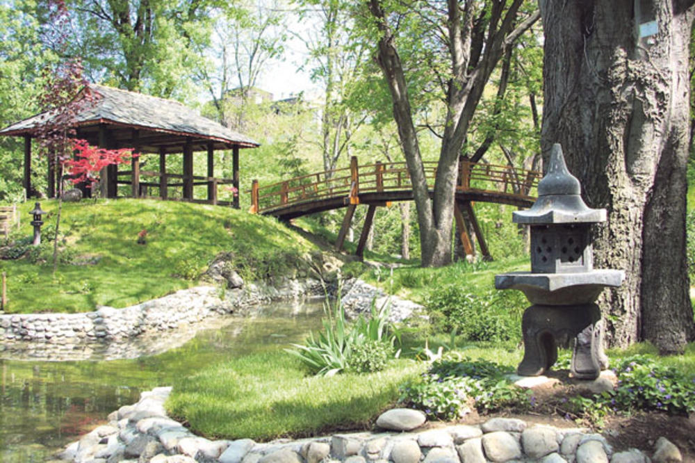 MALA ŠKOLA PRIRODE: Zelenilo čini decu pametnijom!