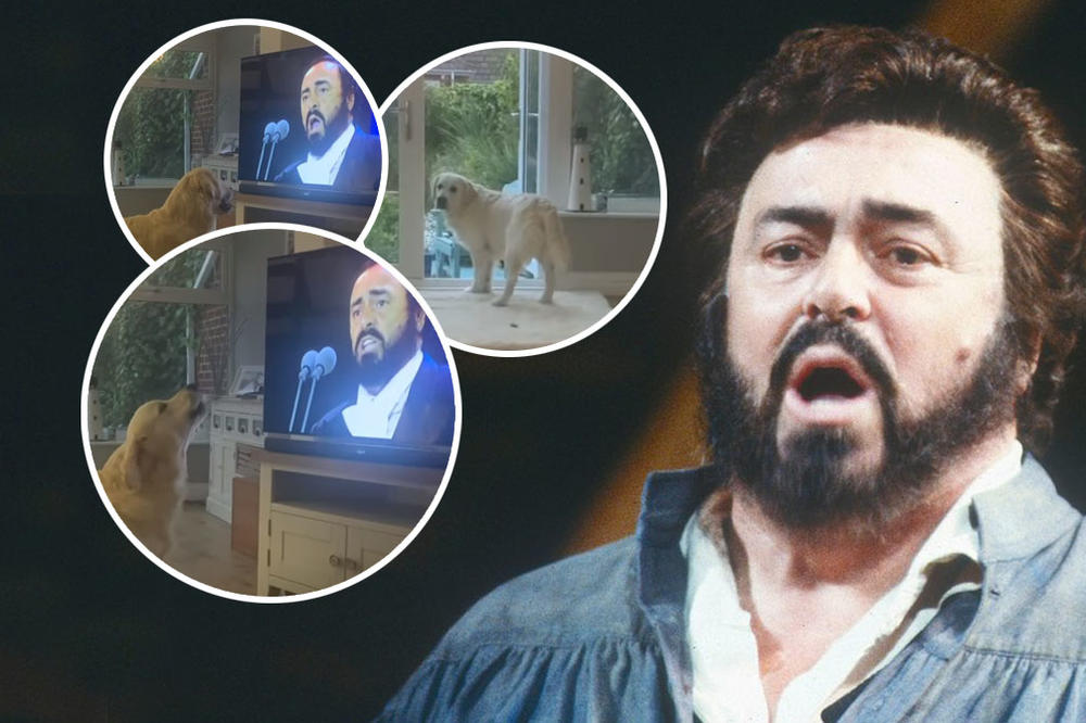 AKO DO SADA NISTE SLUŠALI PAVAROTIJA, SAD ĆETE POČETI: Osvanuo snimak, internet se RUŠI OD SLATKOĆE (VIDEO)