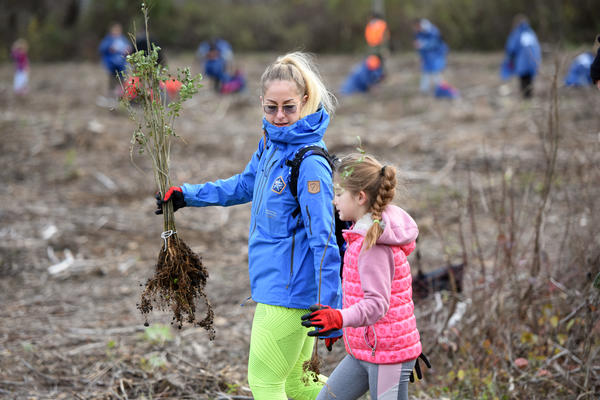 ZASADI DRVO! ČUVAMO PLUĆA PLANETE: Lek protiv deforestacije je pošumljavanje!
