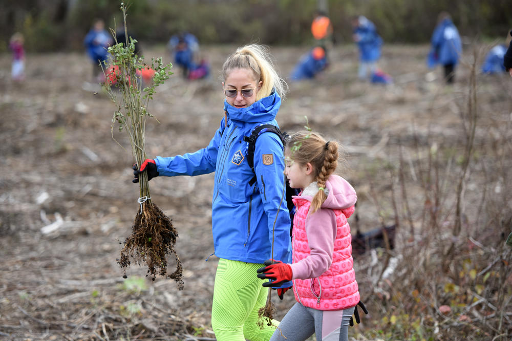ZASADI DRVO! ČUVAMO PLUĆA PLANETE: Lek protiv deforestacije je pošumljavanje!