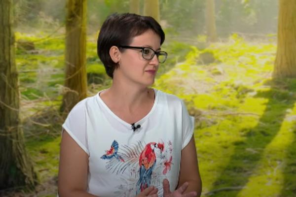 BIOLOG IZ BEOGRADA IZNELA UZNEMIRUJUĆE PODATKE: Deca od 2. godine imaju poremećaj koncentracije i memorije