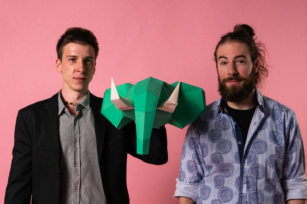 NOVO IME DOMAĆE AUTORSKE MUZIKE: Upoznajte ZOE - debi EP benda Tingo