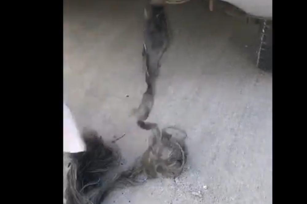 ŽENA JE IZ AUSPUHA IZVUKLA NEŠTO ŠTO JOJ JE LIČILO NA METAR KOSE: A onda je ukapirala da TO NIJE TO! (VIDEO)