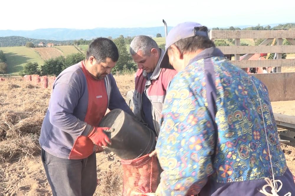 NIKO OVU GRDOSIJU NIJE VIDEO DECENIJAMA A ONDA JU JE SVETOZAR UGLEDAO U BAŠTI: Srbija bruji o ovom čoveku (FOTO)