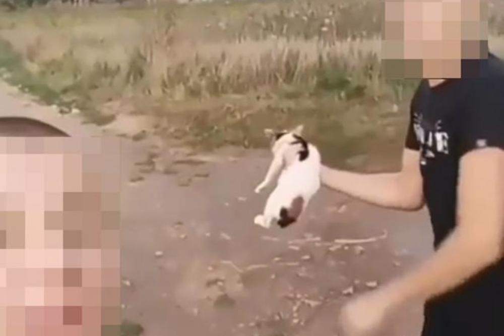 DA LI JE PRIČA O KAZNI OD 1200 DINARA ISTINA? Maloletnici iz Leskovca kod sudije zbog mučenja mačke