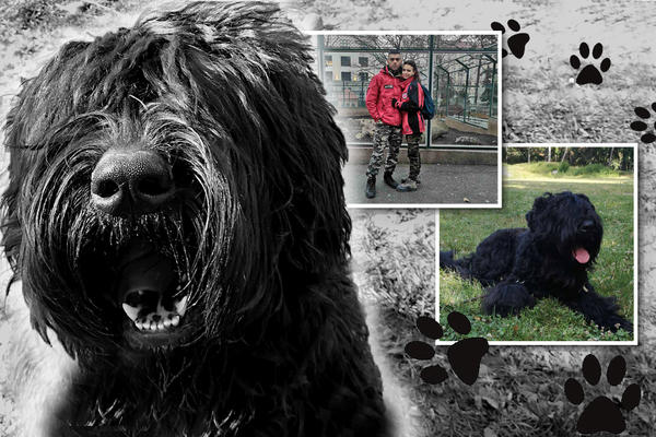 MILICA I KIRA SPAŠAVAJU LJUDSKE ŽIVOTE! Toliko su dobre u nalaženju nestalih da su čuvene i VAN SRBIJE! (FOTO)