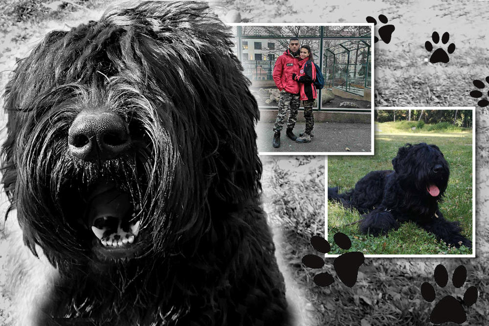 MILICA I KIRA SPAŠAVAJU LJUDSKE ŽIVOTE! Toliko su dobre u nalaženju nestalih da su čuvene i VAN SRBIJE! (FOTO)