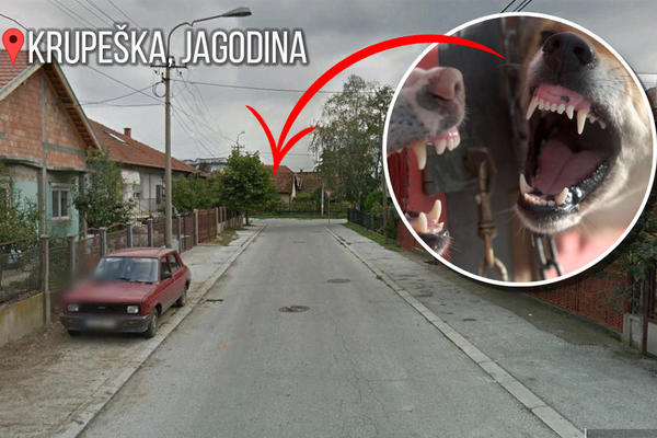 UJEO ME JE KROZ TRENERKU, PA NASTAVIO DA KIDIŠE NA DRUGE: Potresna ispovest Jagodinaca koje je napao ker Meda!