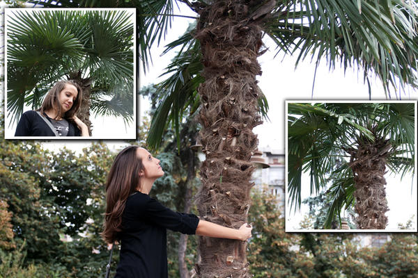 OVA FOTOGRAFIJA LEPE DEVOJKE PORED PALME JE PRAVI HIT: Svi misle jedno, a REALNOST JE SASVIM DRUGAČIJA! (FOTO)