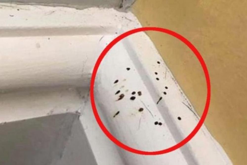 UŽAS! Ugledala je CRNE MRLJE NA KADI, mislila je da je buđ, zapravo je bilo nešto MNOGO GADNIJE! (FOTO)