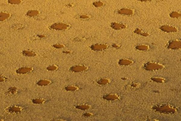 VILINSKI KRUGOVI OSTAVILI NAUČNIKE U NEDOUMICI: Rešena misterija čudnih prstena u pustinji (FOTO)