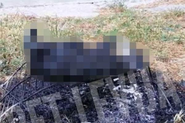 MAČKU ŽICOM VEZALI ZA REŠETKU PA JE SPALILI ŽIVU: Jezivi slučaj RAZBESNEO Čačane (UZNEMIRUJUĆI FOTO)