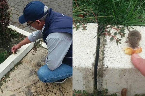 KADAR NEVERA: Miš istrčao pred Dragana tokom doručka, A ONDA SE DESILO NEŠTO SASVIM NEOČEKIVANO