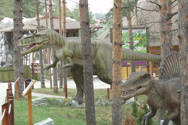 OVAJ DINOSAURUS SNIMLJEN JE U SRBIJI! Ali nije ono što ste prvo pomislili, istina je nešto sasvim drugo (FOTO)
