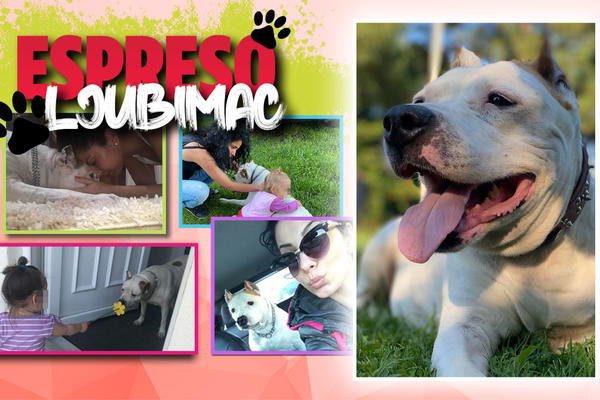 JEDE KAO MEĆAVA, PROSJAK JE SAMO TAKAV! Beba je najbolji drug naše novinarke Suzane, NIJE OPASNA, BAŠ JE ULIZICA