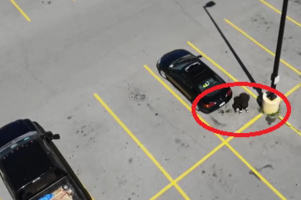 AKO VIDITE NOVČANICU na BRISAČU automobila, ODMAH BEŽITE! Ako je uzmete preti vam velika OPASNOST!