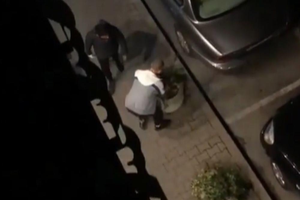 VANDALI DIVLJALI PO NOVOM SADU, KAMERE SVE SNIMILE: Urlali sve vreme, ČUPALI ZNAKOVE, LOMILI ŠTA SU STIGLI (VIDEO)