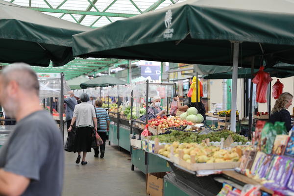 JEDNA VOĆKA IZ SRBIJE NAJVIŠE SE IZVOZI NA STRANO TRŽIŠTE! Nije lako brati je, ali je stranci OBOŽAVAJU!