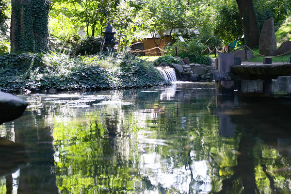 DA BI VAŠA BAŠTA BILA IDEALNA, FALI VAM SAMO KADIFICA: Uz OVU caku imaćete dvorište na koje će SVI biti LJUBOMORNI