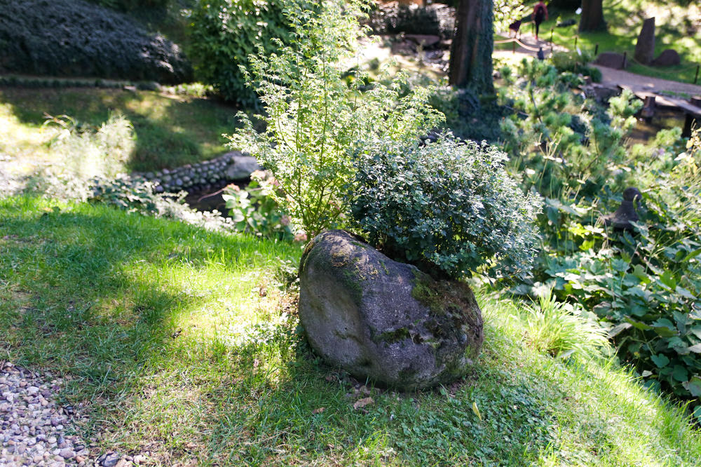 NEKO MU JE KRAO JABUKE, PARADAJZ, ŠARGAREPU... Stavio je KAMERU i uhvatio LOPOVA, gledao ga je PRAVO U OČI (VIDEO)