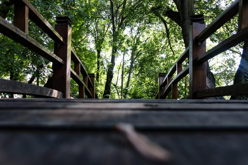 UŠAO U DVORIŠTE KOD KOMŠINICE, PA JOJ UKRAO BRUSHALTER I DONJI VEŠ: Tek da vidite gde ih je stavio... (VIDEO)