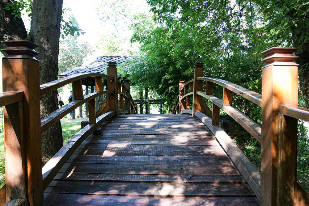 Mostić u japanskom vrtu