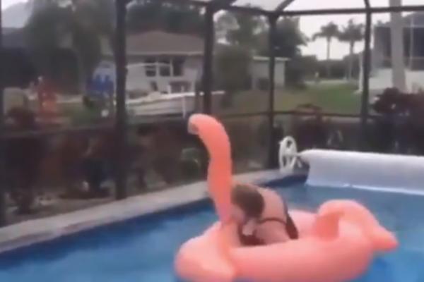 BUCA DEBELJUCA JE HTELA DA ZAJAŠE FLAMINGA U BAZENU: Žao nam je ove ptice, IAKO JE OD GUME! (VIDEO)