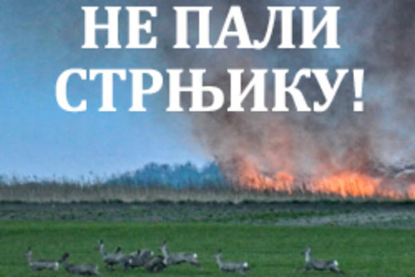 NE PALI STRNJIKU! Ministarstvo zaštite životne sredine upozorava na moguće posledice