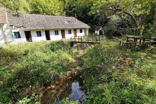 LEKOVITA VODA KOD POŽEGE: U tursko doba ljudi pronalazili spas OVDE, danas od korova ne može da se priđe (FOTO)