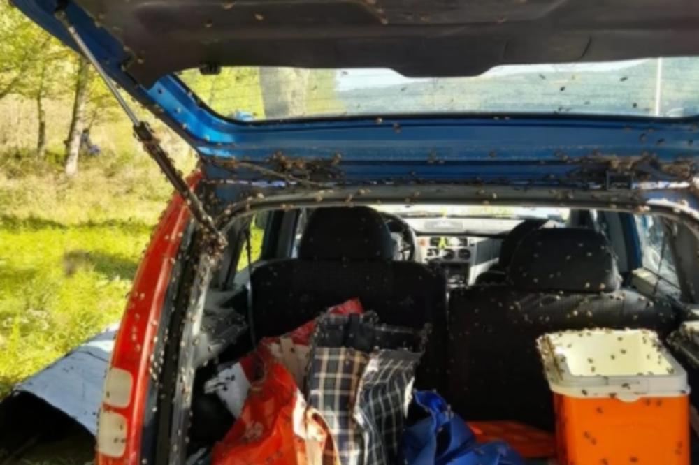 EVO ZAŠTO NIKAKO NE SMETE DA DRŽITE SMRDIBUBU U RUCI: Bolje vam je da vam TO NIKADA NE PADNE NA PAMET