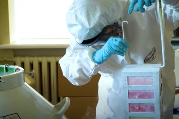 SPUTNJIK V ĆE SE PROIZVODITI U SRBIJI?! Počeli su zvanični razgovori o ovoj saradnji!