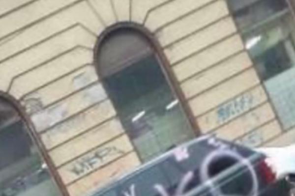 I NOVI SAD IMA LJUPKU ZA TRKU: Ova besna žena je imala KRATKU I JASNU PORUKU, a nacrtala je i CVETIĆE (FOTO)