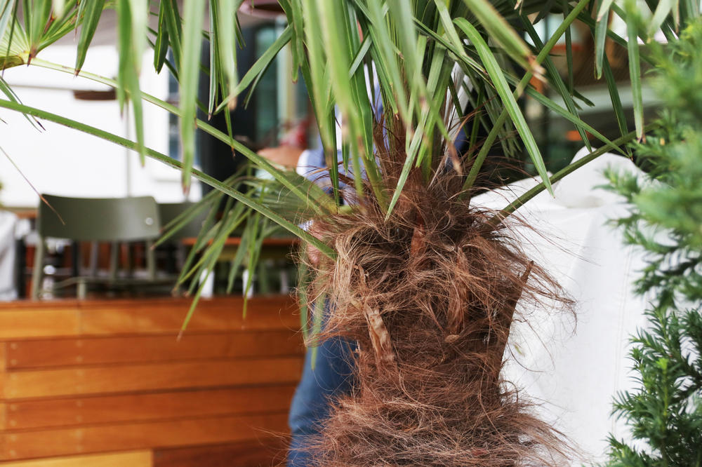 VAZDUH U STANU MOŽE DA VAM OZBILJNO NARUŠI ZDRAVLJE: Budite veoma pažljivi, nije naivno!