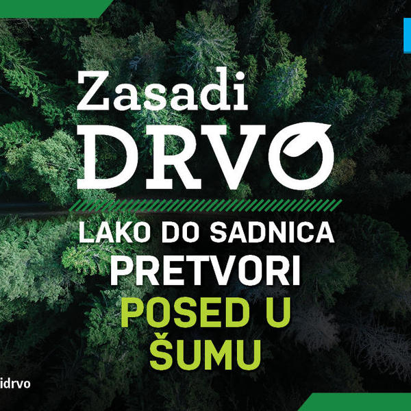 EVO KAKO DA SVOJ POSED PRETVORITE U ŠUMU: Donosimo detaljno uputstvo