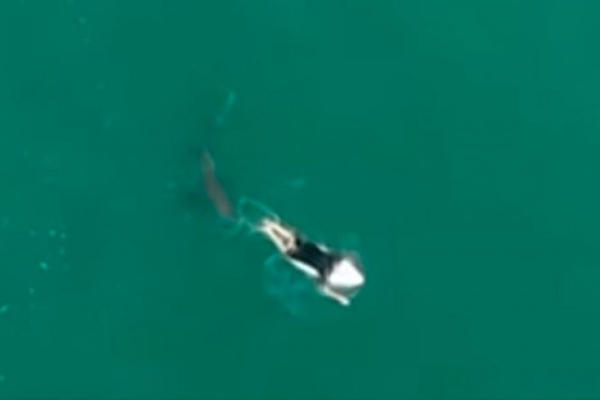 SURFER U AUSTRALIJI PREMINUO od posledica napada AJKULE