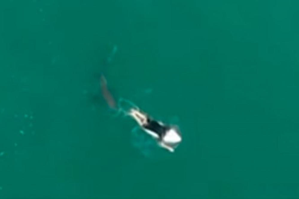 SURFER U AUSTRALIJI PREMINUO od posledica napada AJKULE